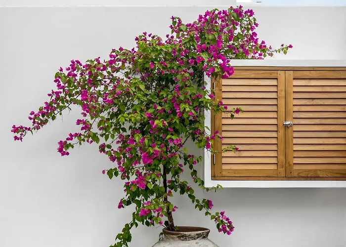 Вилла Oasi 1 By Alfred In Bali Улувату